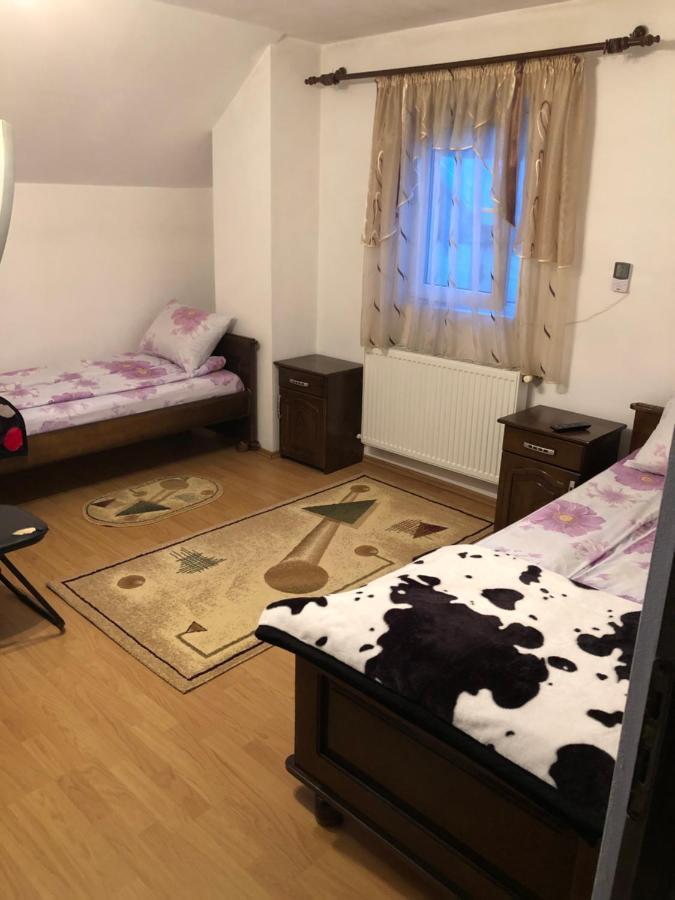 Pensiunea Morosanu Borşa Dış mekan fotoğraf