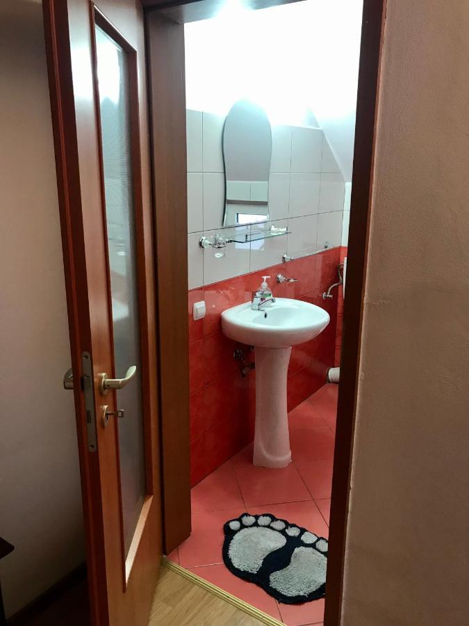 Pensiunea Morosanu Borşa Dış mekan fotoğraf